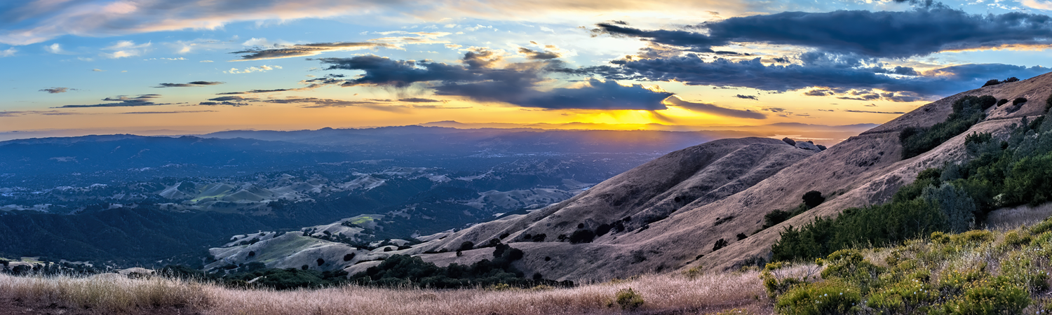 Banner image of Brentwood